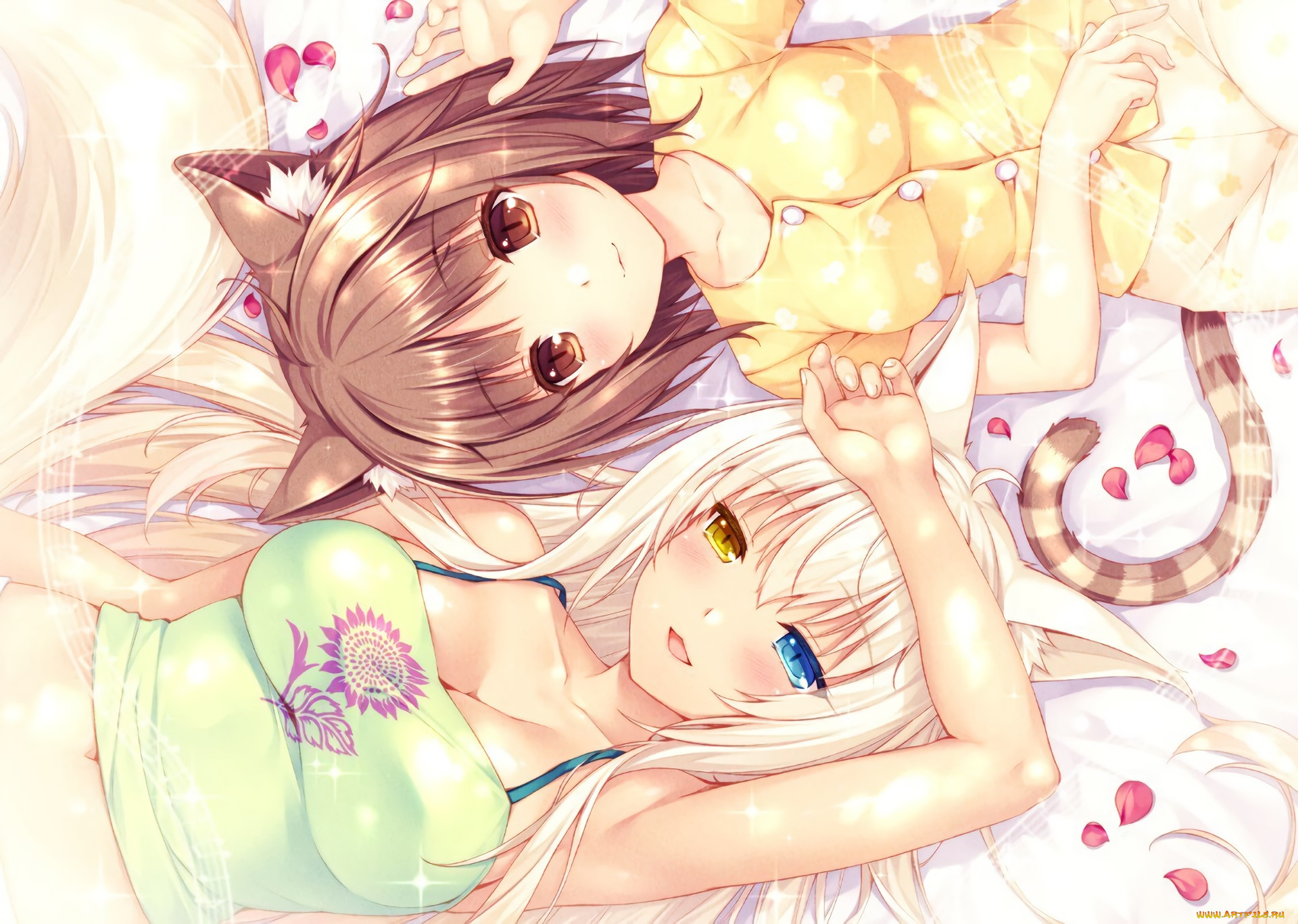 , nekopara, , , 